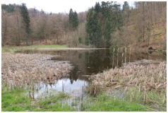 Blick über den Teich zur Frau-Holle-Skulptur