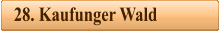 28. Kaufunger Wald