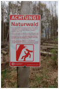 Im Naturwald gibt es einige Regeln, die man beachten sollte