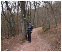 Ein Stück des Wanderweges führt durch den Buchenwald